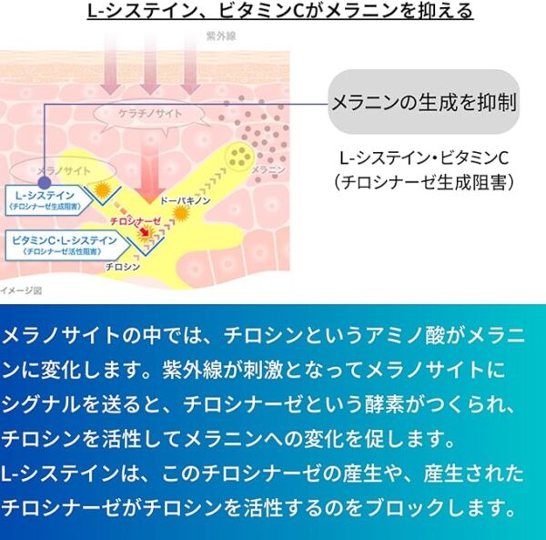 71E60bXMeLL._AC_SX679_-600×593